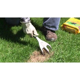X-Seed Quick and Thick Dog Spot Lawn Repair Mix, 1.75-Pound