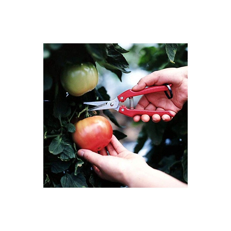 ARS Needle Nose Pruner HP-SE45-2 Pack