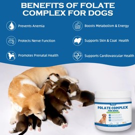 Folic Acid for Dogs - Dog Prenatal Vitamins with B12, Zinc, Biotin & Iron - Supports DNA Synthesis, Cardiovascular & Fetal Development - for Pregnant Dogs, Puppies -100 Soft Chews