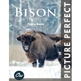 Bison: Perfect Picture Photo Book