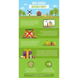 Natures Root Premium Dong Quai Powder 1kg by Natures Root