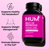 HUM Best of Berberine Supplement 1200mg, Pure Potency for Metabolic