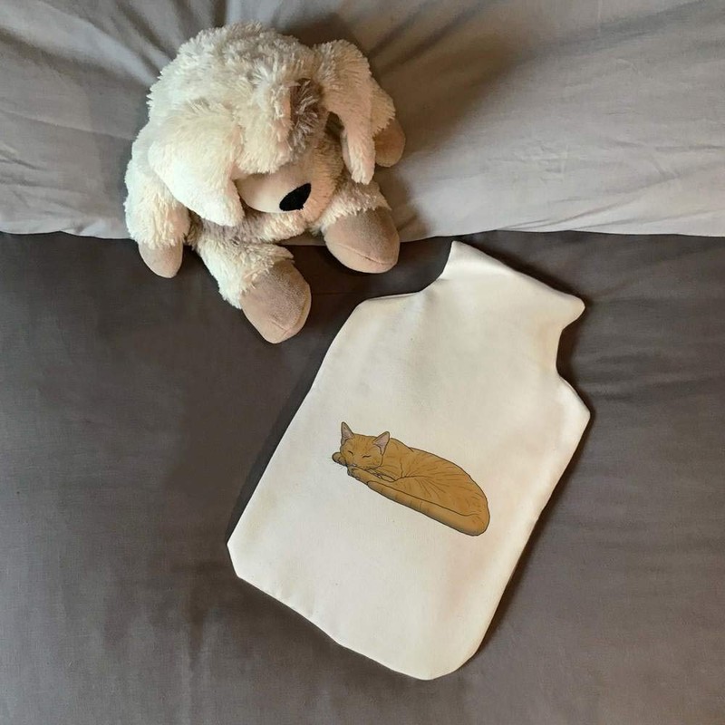 'Sleeping Ginger Cat' Hot Water Bottle Cover (HW00018816)