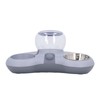 Double Cat Bowls Pet Food and Water Bowl Set Tilted