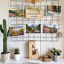 SHOXREM Retro National Parks Postcard Set: Vintage Travel Collage Collection Wall Decoration - Photorealistic Painting Print Illustrations of 63 National Parks, 6" W x 4" H