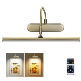 RAIFOOLLY Picture Light Battery Operated,Wireless Accent for Wall, Remote Painting Light with Timer and Dimmable for Art,Display,Frame,Mirror-Antique Brass