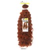 Shake-N-Go Organique Burmese curl 24" (613)