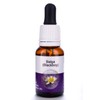 Living Essences Balga (Blackboy) 100ml
