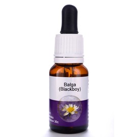Living Essences Balga (Blackboy) 100ml