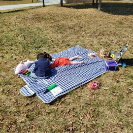 JPAR Checkered Waterproof Picnic Mat Blue Medium Size