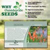 Outsidepride Kniphofia Uvaria Red Hot Poker Garden Flower Plants -