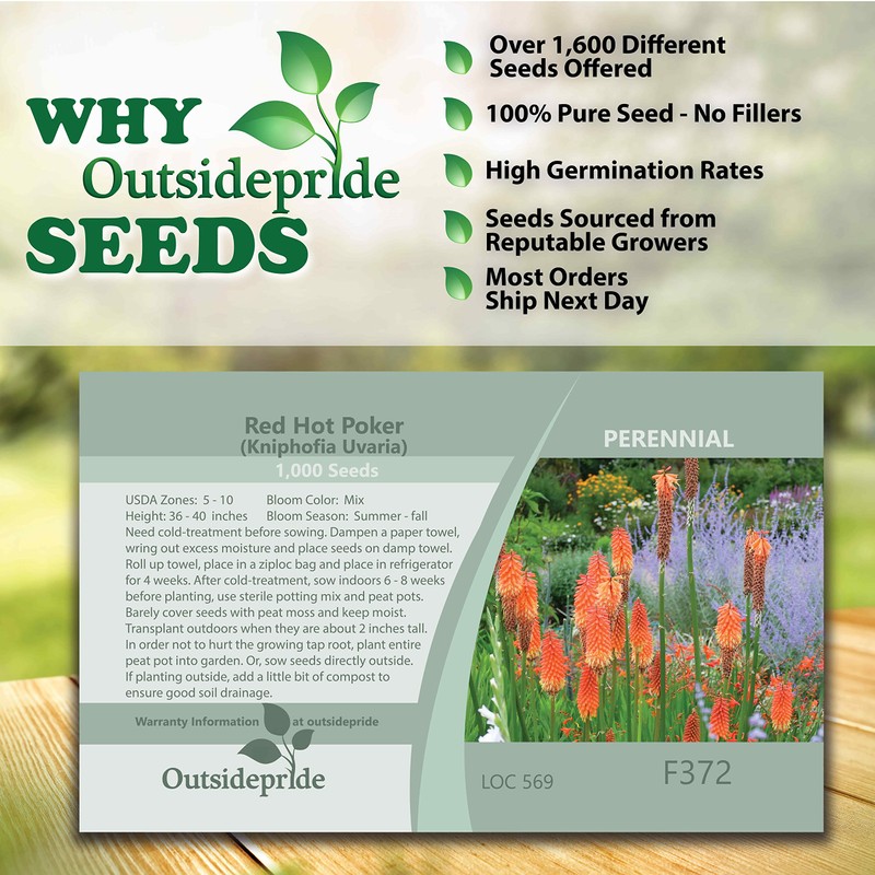 Outsidepride Kniphofia Uvaria Red Hot Poker Garden Flower Plants -