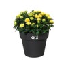 Elho 7611902343300 23 cm Green Basics Top Planter Flower Pot