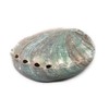 Palo Santo Cones Pack of 5,Red Abalone Shell 2-3",Wooden Tripod