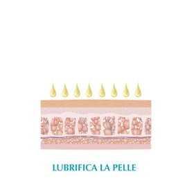 Physiosal Cellulite Kit