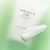 Skin1004 스킨1004 마다가스카르 센텔라 티트리카 B5 크림 (리뉴얼) 75ml Skin1004