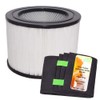 Breathe Naturally Replacement Filters for Filter Queen Defender 4000 Series