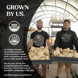 Hodgins Harvest Organic Lion's Mane Fruiting Body Extract Tincture - Mushroom Supplement for Brain Health and Mental Focus - Dual Extract Formula - Extra Concentrated - 2 fl oz Bottle