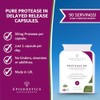 Protease Delayed Release (DR) 50mg | Digestive Support Enzymes |