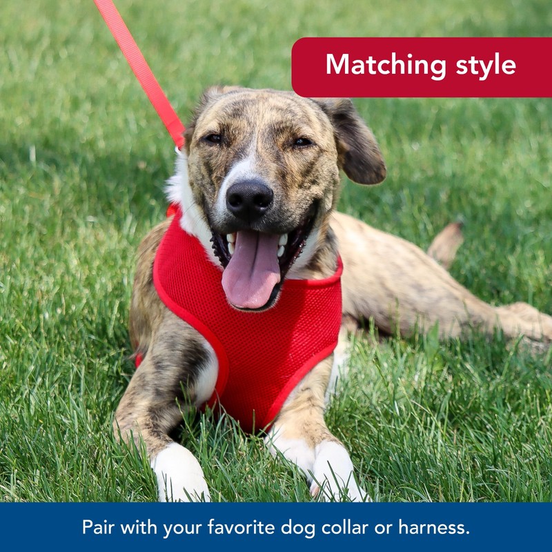 Coastal Pet Single-Ply Dog Leash - Sturdy Pet Leash -