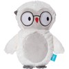 Manhattan Toy Plush Pals Owly Friendly Monster Stuffed Animal, 13"
