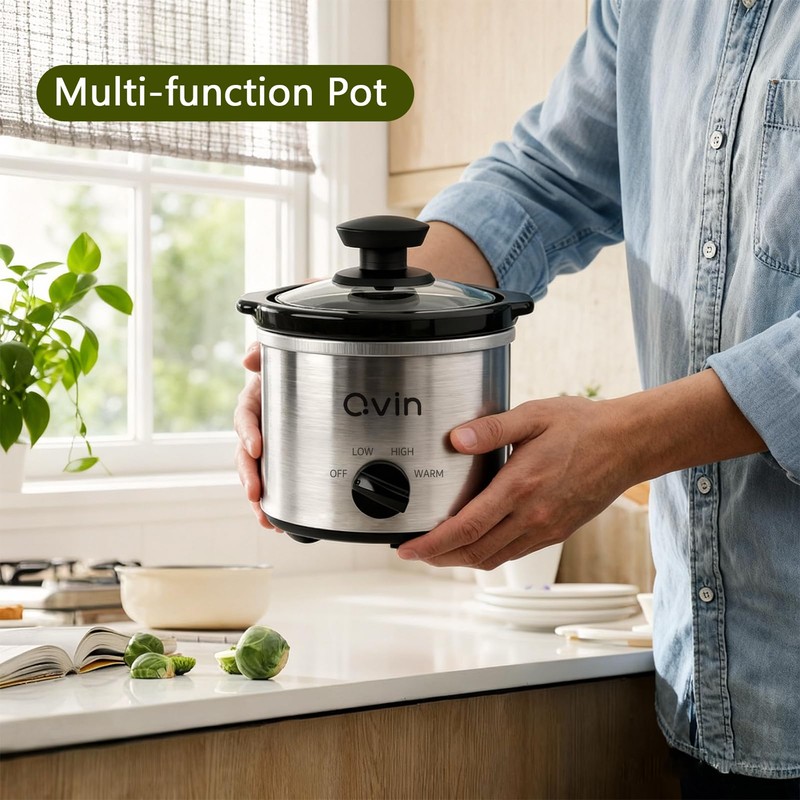 Qvin 0.65 Quart Mini Slow Cooker with Temperature Control, Stainless