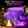 LOXYEE PAR38 Flood Purple Light Bulbs,2 Pack Dimmable,E26 Base Purple