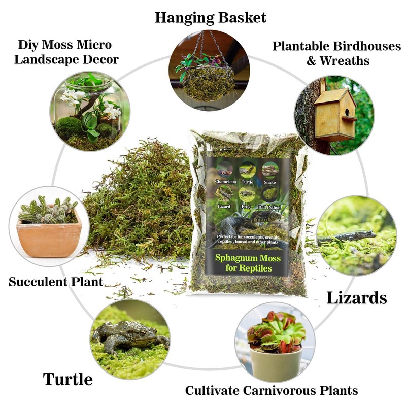 Sukh Sphagnum Moss for Reptiles -Terrarium Moss for Reptiles Peat