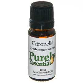 Citronella Essential Oil 10ml Pure and Natural, Purely Essential