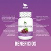 NATSA Resveratrol 100 cápsulas, calidad Premium