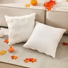 HunnmingRe 2 Pcs Fall Pumpkin Throw Pillow Covers 18x18 Inch