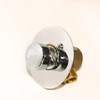 GOLDMAN SERVICE Chrome Plated Timed Short Water Spout Tap Water