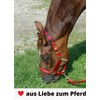 Amesbichler Reitsport HorseGuard Muzzle Feeding Brake for Horses with Teddy