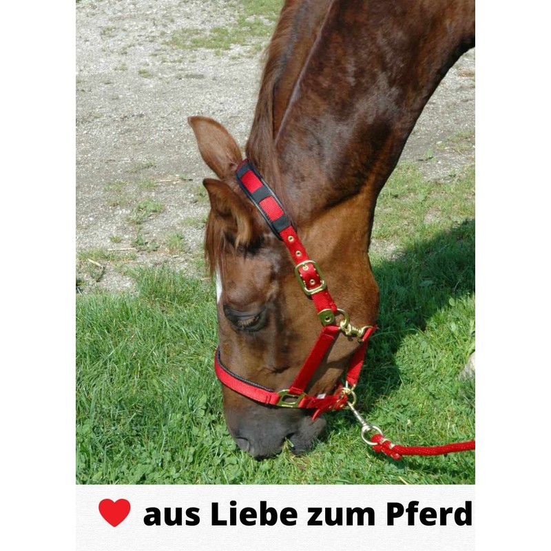 Amesbichler Reitsport HorseGuard Muzzle Feeding Brake for Horses with Teddy