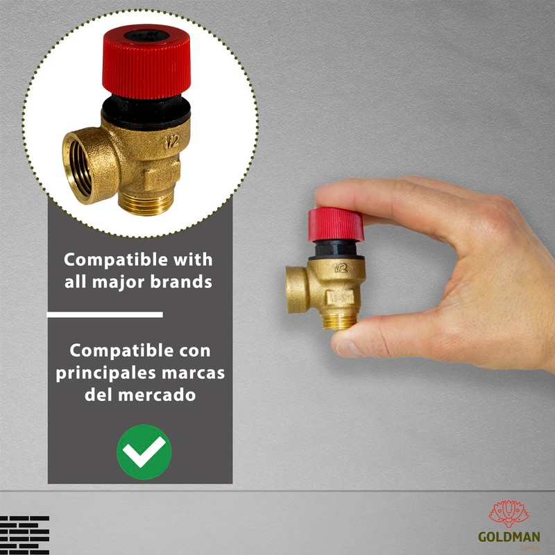 GOLDMAN SERVICE Boiler Safety Valve for Pressure Relief G1/2 Inch