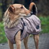 HUNTER UPPSALA Waterproof Reflective Dog Coat 50 Taupe