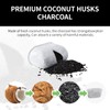 PUZZLEQ 10 Pack Water Filter Inserts for Ninja Luxe Café