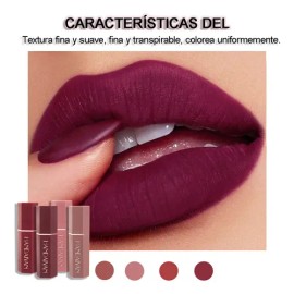 Lapiz Labial Color Mate Silky Saturados Larga Duración                                                                                                