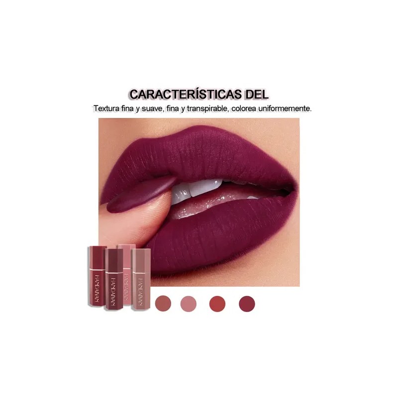 Lapiz Labial Color Mate Silky Saturados Larga Duración