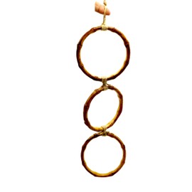 Snake Enrichment Climbing Rings for Corn Snake Ball Python Playground Snake Enrichment Jungle Gym