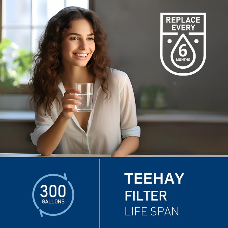 TEEHAY 9081 Filter Replacement, Compatible With Kenmore 9930, 46-9930, 9081,