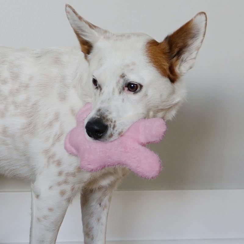 KONG Snuzzles Dog Toy, Plush Squeaker, Crinkle Sounds, Soft Durable