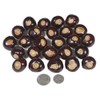 DriedDecor.com Ohio Buckeye Nuts - Large Size Buckeyes Nuts