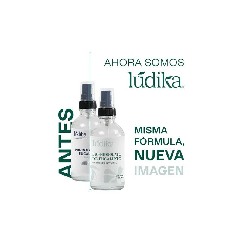 Hidrolato De Eucalipto Puro Refrescante, Astringente 120 Ml