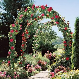 Garden Arch, Outdoor Flower Garden Arch Trellis, Sturdy Steel Arbor for Climbing Plants, Wedding Decoration, 7'8" H x 4'5" W, Black