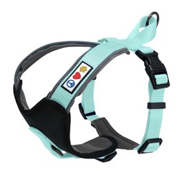 Pawtitas Reflective Dog Harness Padded Dog Harness Provides Comfort Control for a Walk or Running Great Pet Accessories Dog Vest XS Extra Small Teal Dog Harness