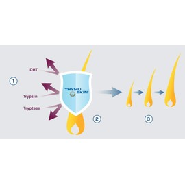 THYMUSKIN Classic - Hair Care Peptides Shampoo & Serum for Hair Growth Due to Hair Loss – for Scalp and Damaged Hair 2-Step System (Classic Serum 200 ml)