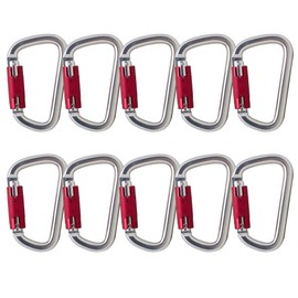 Fusion Climb Swift Auto Lock Modified D Shape Carabiner Second Generation 10-Pack