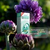 IBShield Tincture 100ml | 6+3=9 Herbs | Iberis Amara, Peppermint,