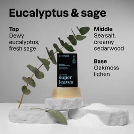 Attitude Bar Soap Body Wash for Men, For Body and Hands, 99% Natural Origin Ingredients with Avocado Oil, EWG Verified, Eucalyptus & Sage, 4 Oz (Pack Of 1)